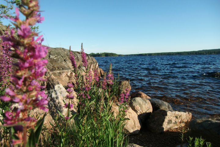 Scandtrack Kanutour Schweden CIMG0319