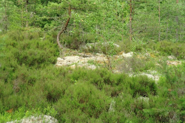 Scandtrack Kanutour Schweden CIMG0361