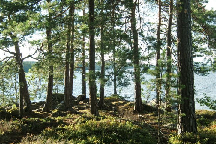 Scandtrack Kanutour Schweden CIMG0375