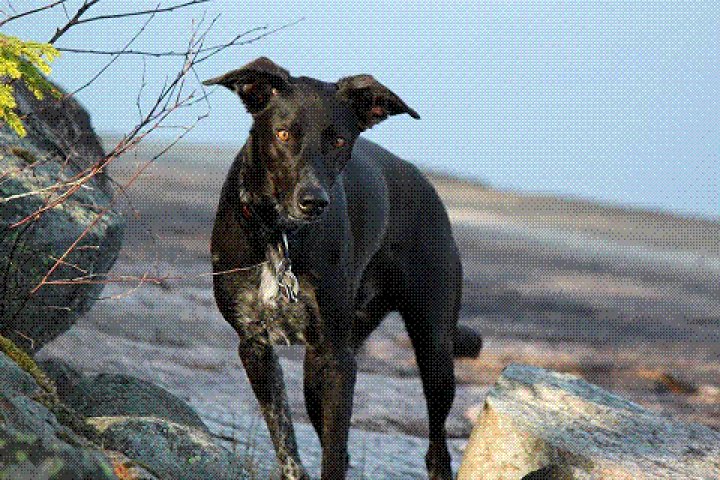 Scandtrack Kanutour Schweden 105927785686522265941028687008298671961514n