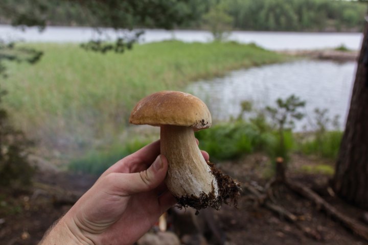 Scandtrack Kanutour Schweden KanuSchweden20140003