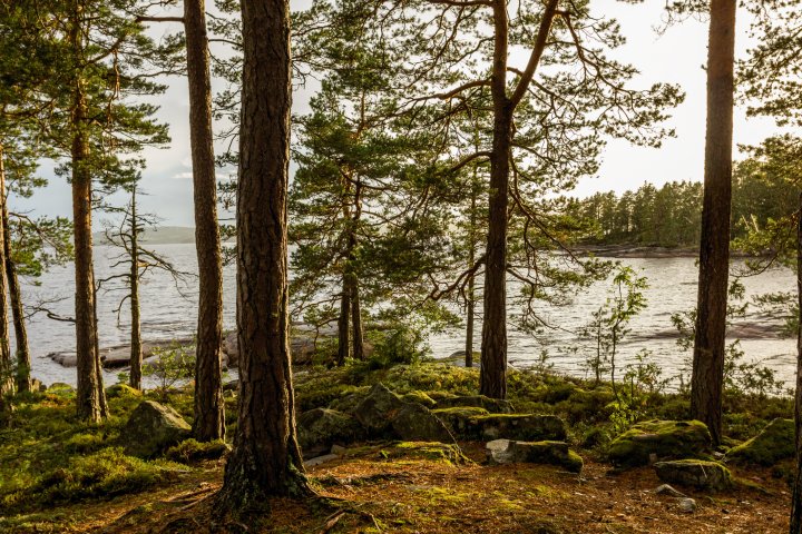 Scandtrack Kanutour Schweden KanuSchweden20140016