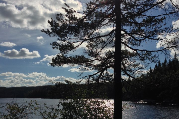 Scandtrack Kanutour Schweden 1IMG1375