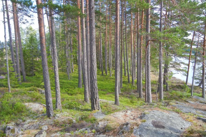Scandtrack Kanutour Schweden FABild14