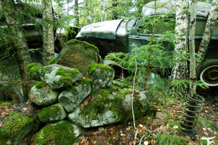 Scandtrack Kanutour Schweden DSCN2423