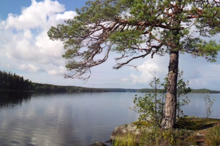 Scandtrack Kanutour Schweden 20140909164458