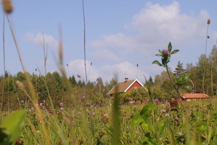Scandtrack Kanutour Schweden PICT3061