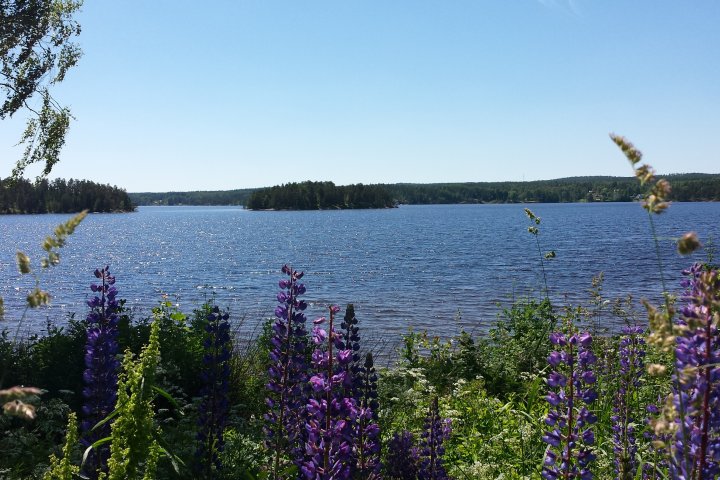Scandtrack Kanutour Schweden 20140609135108