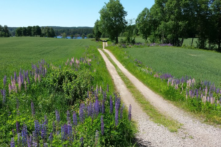 Scandtrack Kanutour Schweden 20140609140606