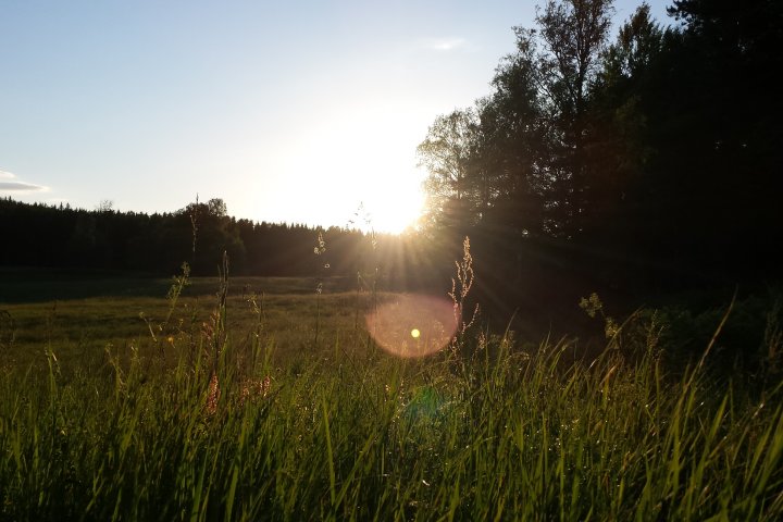 Scandtrack Kanutour Schweden 20140611211345