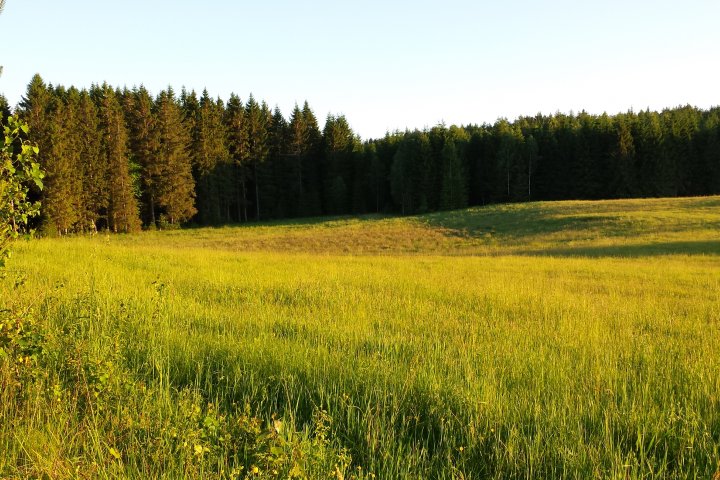 Scandtrack Kanutour Schweden 20140611211404