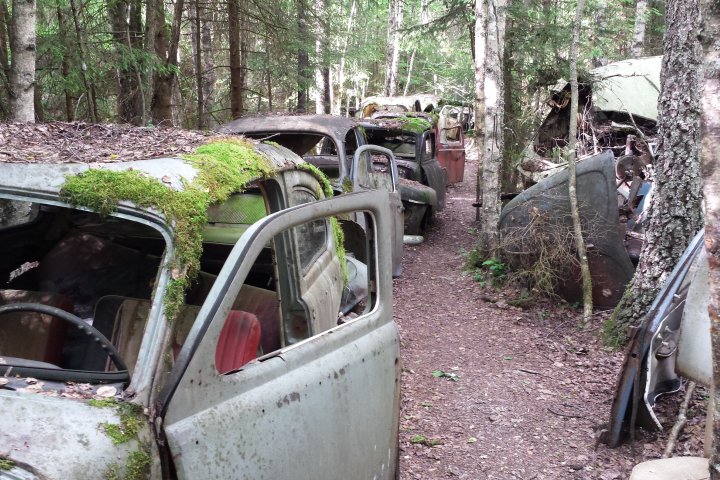 Scandtrack Kanutour Schweden 20140612165454