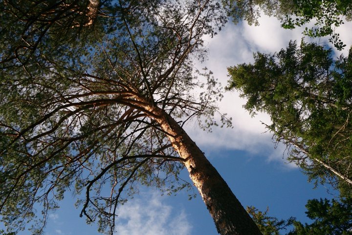 Scandtrack Kanutour Schweden DSC1197