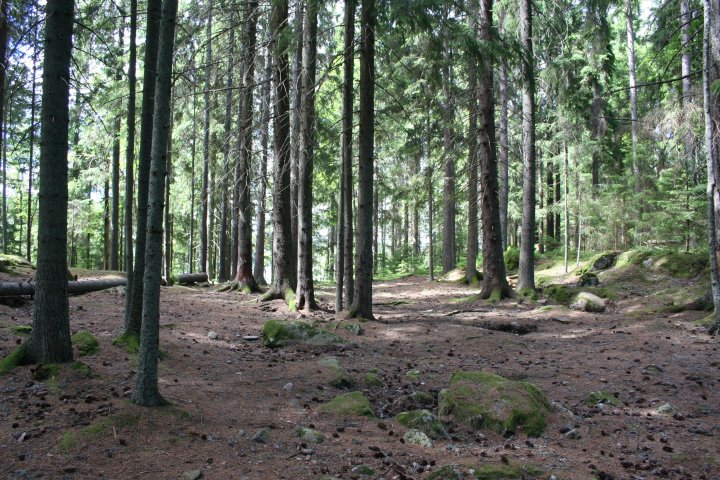 Scandtrack Kanutour Schweden IMG9907