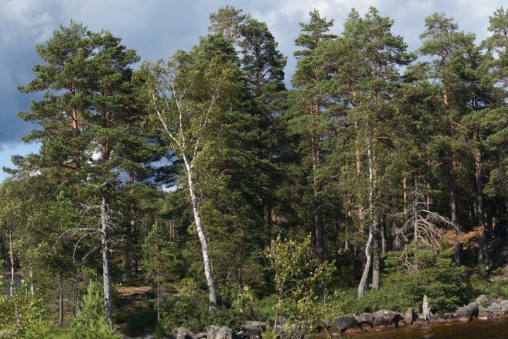 Scandtrack Kanutour Schweden DSC01286