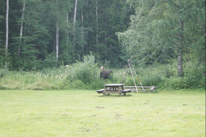 Scandtrack Kanutour Schweden DSC01309