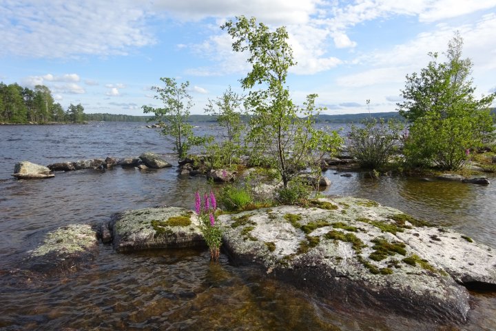 Scandtrack Kanutour Schweden SCAND154JPG
