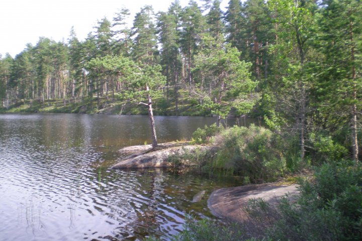Scandtrack Kanutour Schweden DSCN5803