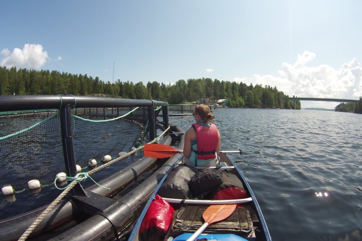 Scandtrack Kanutour Schweden FILE0126