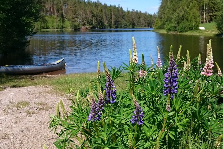 Scandtrack Kanutour Schweden 4