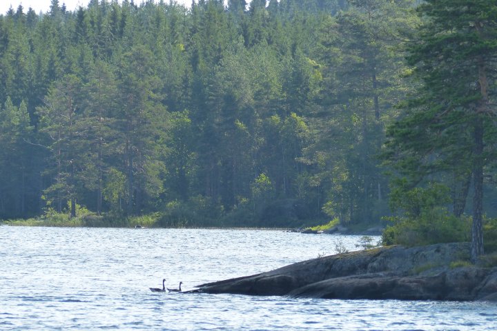Scandtrack Kanutour Schweden P1040829
