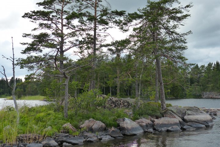 Scandtrack Kanutour Schweden P1040857