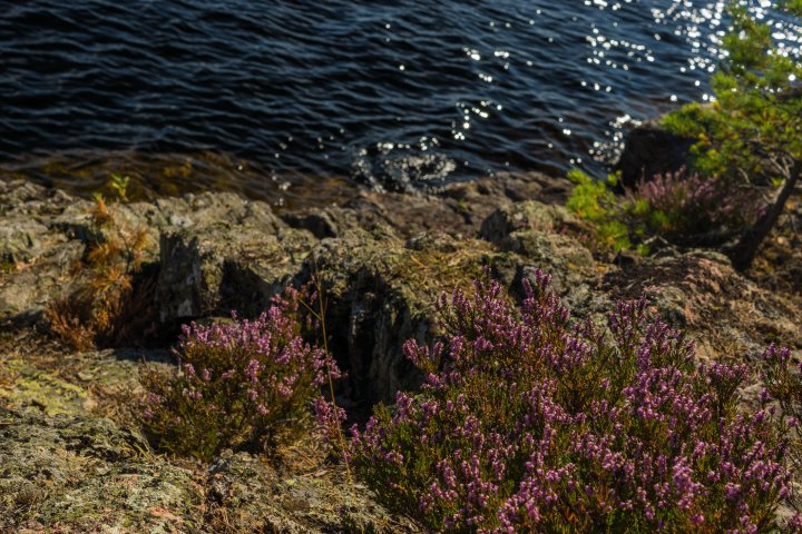 Scandtrack Kanutour Schweden 05