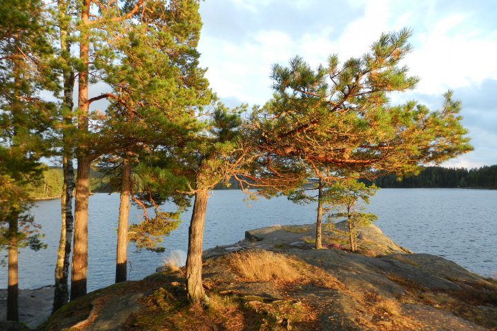 Scandtrack Kanutour Schweden DSCN0499