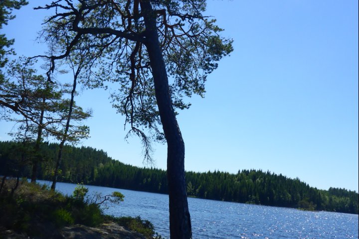 Scandtrack Kanutour Schweden Schweden2015123