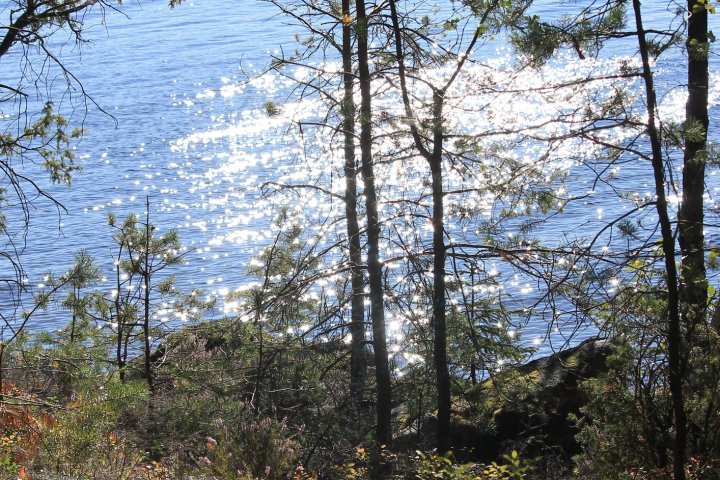 Scandtrack Kanutour Schweden IMG9848