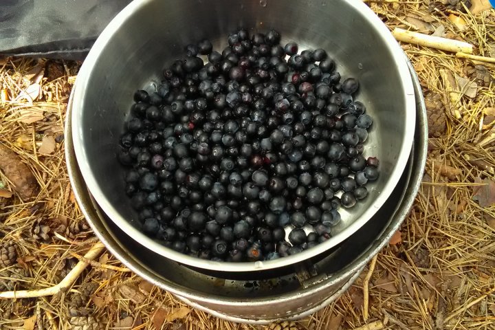 Scandtrack Kanutour Schweden IMG20160715144618