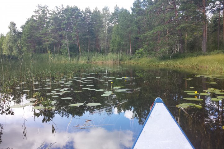 Scandtrack Kanutour Schweden 20160803120440