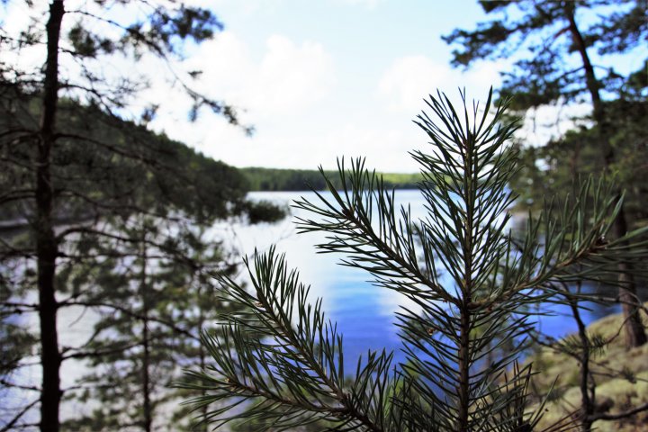 Scandtrack Kanutour Schweden DSC8086
