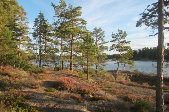 Scandtrack Kanutour Schweden 040IMG9212