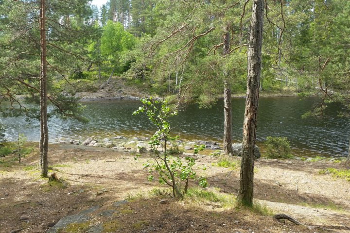 Scandtrack Kanutour Schweden 20160526131638