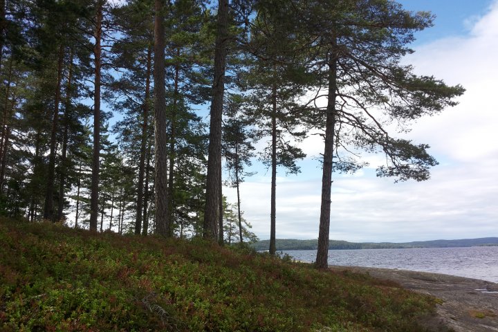 Scandtrack Kanutour Schweden 20160807134534