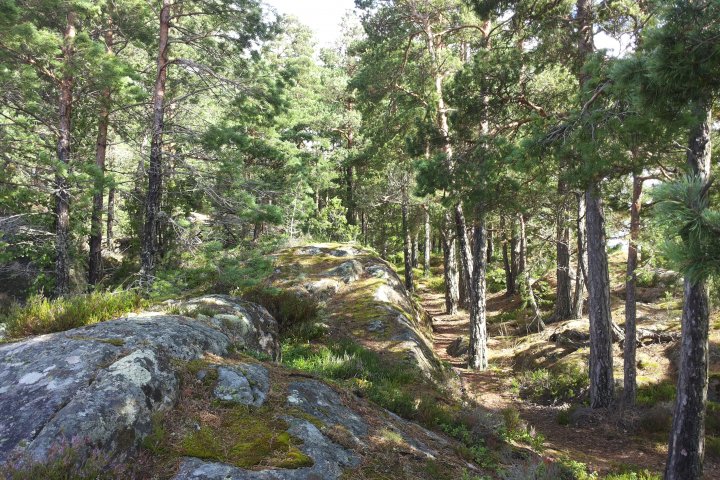 Scandtrack Kanutour Schweden 20160808104710