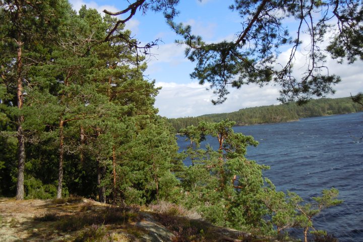 Scandtrack Kanutour Schweden DSCN8495