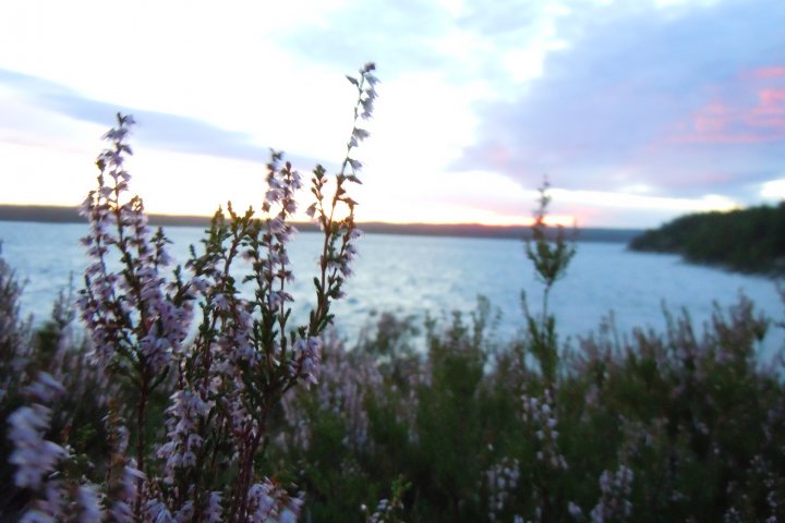 Scandtrack Kanutour Schweden DSCN8612