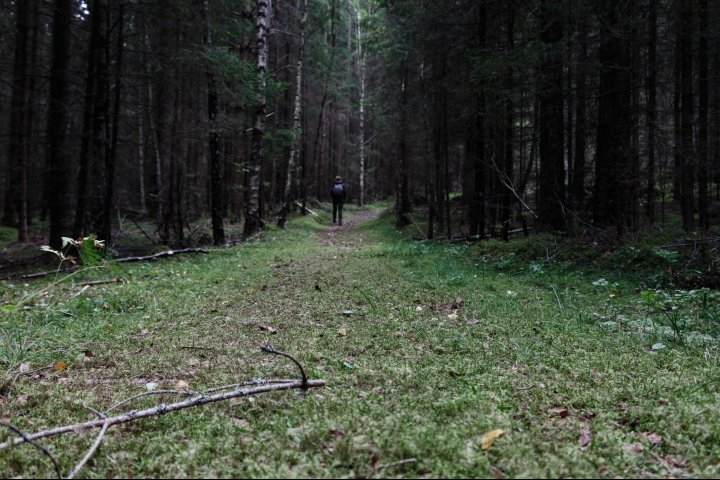 Scandtrack Kanutour Schweden Scandtrack11 &copy; 2016 Arne Kusserow