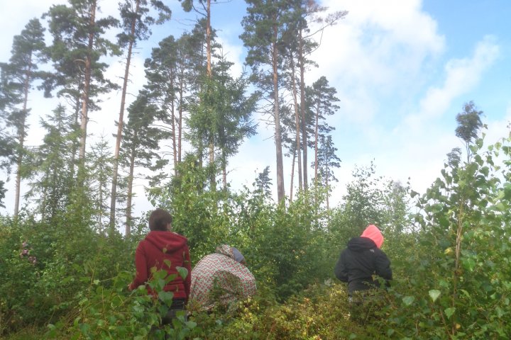 Scandtrack Kanutour Schweden DSC02571