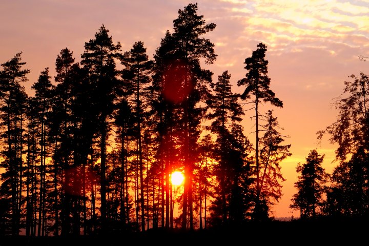 Scandtrack Kanutour Schweden DSC00843