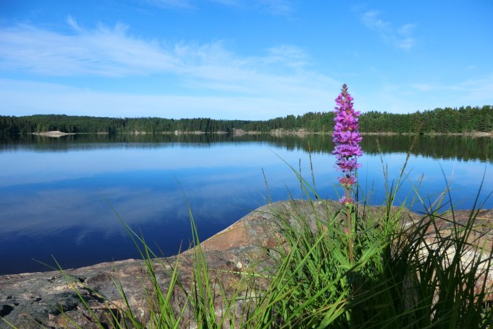Scandtrack Kanutour Schweden CIMG7506