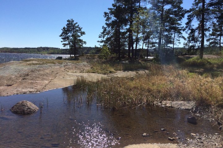 Scandtrack Kanutour Schweden Foto210517151525