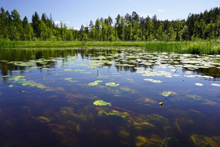Scandtrack Kanutour Schweden K1600DSC02666