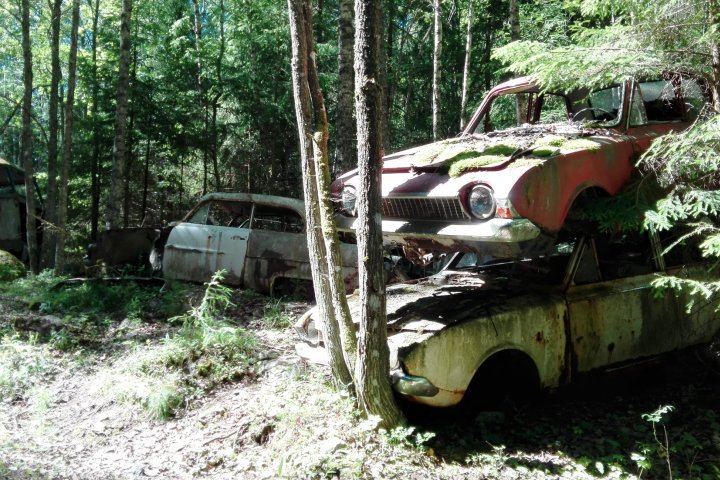 Scandtrack Kanutour Schweden IMG201706191452531