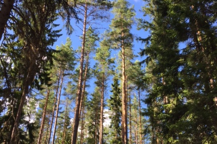Scandtrack Kanutour Schweden IMG3312
