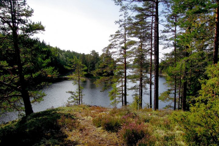 Scandtrack Kanutour Schweden 25undneueidyllischeOrte