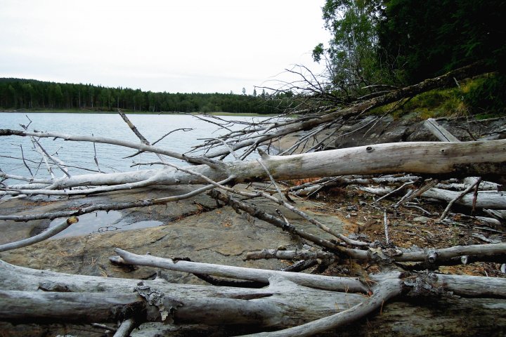 Scandtrack Kanutour Schweden 26WildeUfer