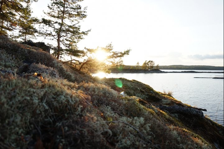 Scandtrack Kanutour Schweden 39